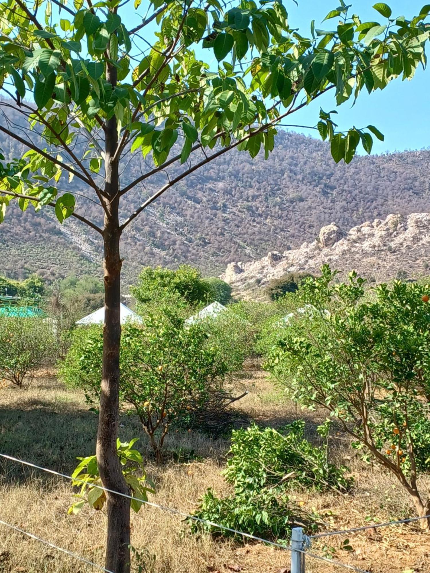 Shivir Aranya - Wilderness Resort Alwar Exterior foto
